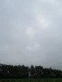 IMG_0352