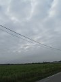 IMG_0363