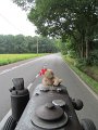 IMG_0375