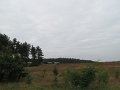 IMG_0383