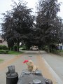 IMG_0399