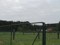 IMG_0411