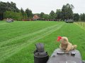 IMG_0413