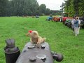 IMG_0421