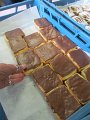 IMG_0455