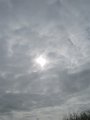 IMG_0576