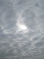IMG_0586