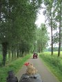 IMG_0587