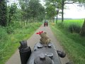IMG_0589