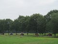 IMG_0595