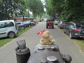IMG_0598