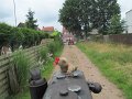 IMG_0651