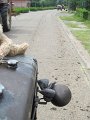 IMG_0652