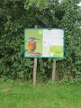 IMG_0654