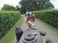 IMG_0679