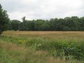 IMG_0680