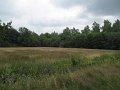 IMG_0681