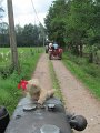 IMG_0685