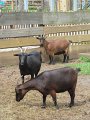 IMG_0760