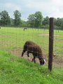 IMG_0763