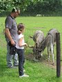 IMG_0764