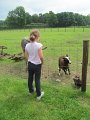 IMG_0765