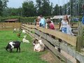 IMG_0766