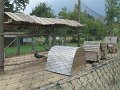 IMG_0769