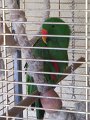 IMG_0772