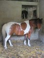 IMG_0776
