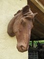 IMG_0780