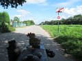 IMG_1005