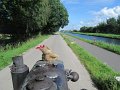 IMG_1006