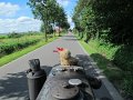 IMG_1010