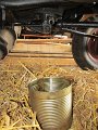 IMG_1015
