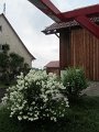 IMG_5792