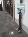 IMG_5797