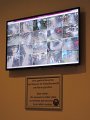 IMG_5851