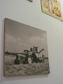 IMG_5873