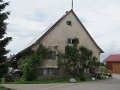 IMG_6884