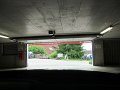 IMG_6889