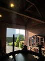 IMG_3891