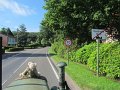 IMG_3919