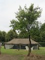 IMG_4012
