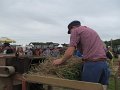 IMG_4303