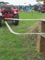 IMG_4322