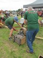 IMG_4362