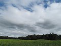IMG_4660