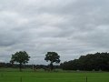 IMG_4687