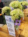 IMG_5143